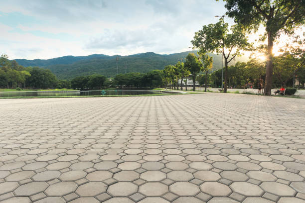 Best Custom Driveway Pavers  in Benson, MN